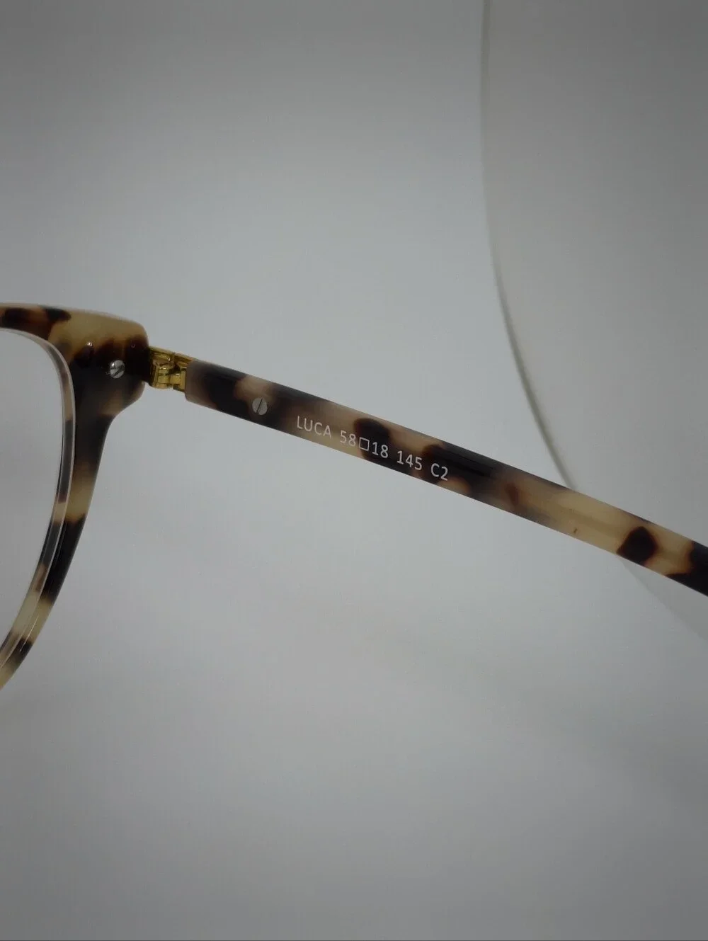 Lucia. Tortoiseshell Round Women’s Fashion. Gold Highlights Corners.